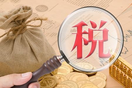 柳州一般納稅人企業(yè)代理報稅服務與稅務代理綜合指南